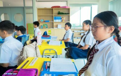 Top-Notch Objectives To Educate Students Conforming To Their Brains